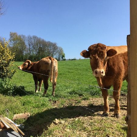 Vakantiewoning Kleijnen Noorbeek Exteriör bild