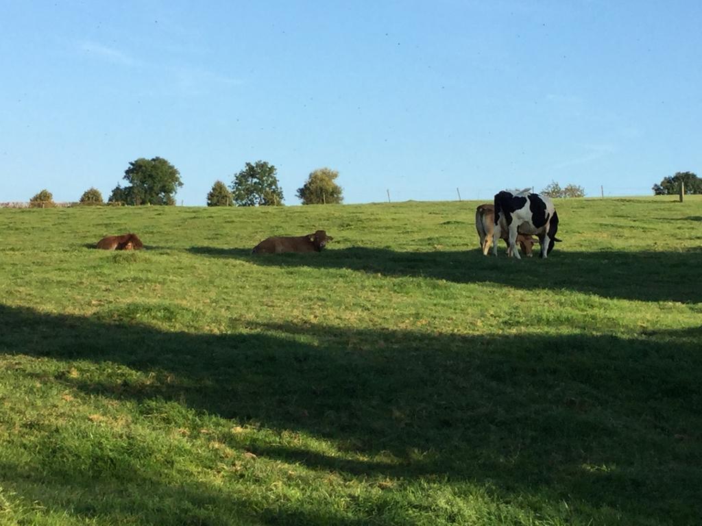 Vakantiewoning Kleijnen Noorbeek Exteriör bild