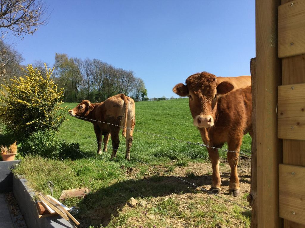 Vakantiewoning Kleijnen Noorbeek Exteriör bild